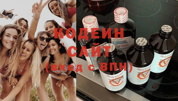 индика Алзамай